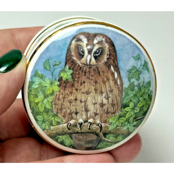 Fine Bone China Owl & Ivy Trinket Pill Box Objets D'Art Made in England Bird - Picture 5 of 5